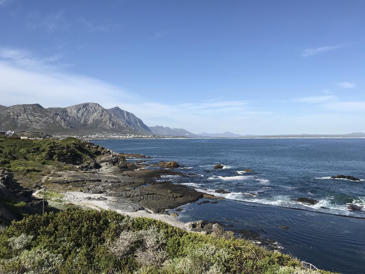 Bed and Breakfast Francolin Manor Hermanus Zewnętrze zdjęcie