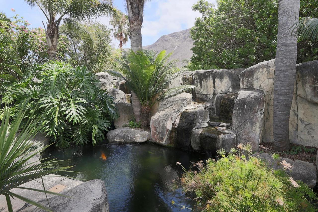 Bed and Breakfast Francolin Manor Hermanus Zewnętrze zdjęcie