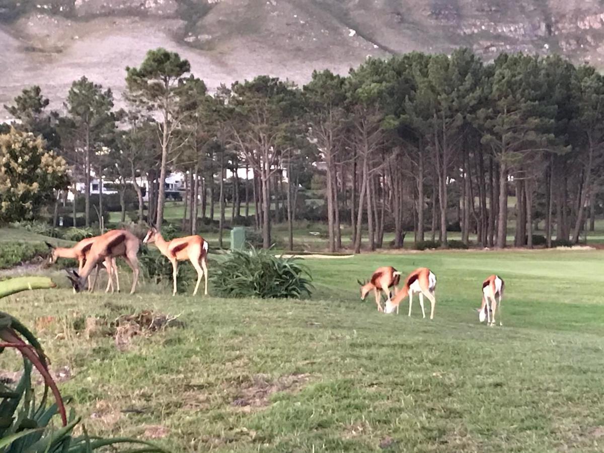 Bed and Breakfast Francolin Manor Hermanus Zewnętrze zdjęcie